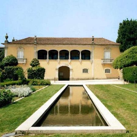 Casa Das Vinhas Camelias De Bastoturismo Rural เซลอริโก จิ บาสโต ภายนอก รูปภาพ