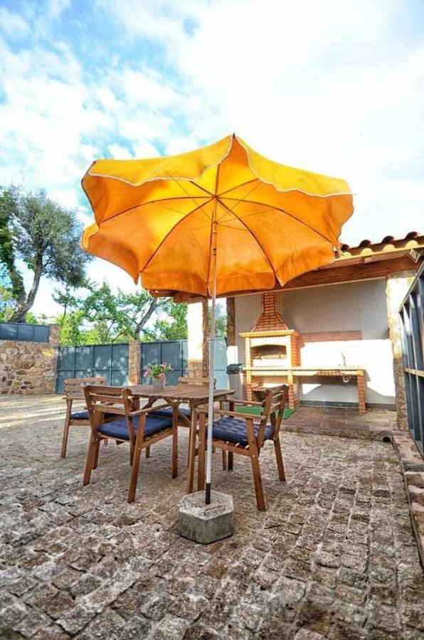 Casa Das Vinhas Camelias De Bastoturismo Rural เซลอริโก จิ บาสโต ภายนอก รูปภาพ