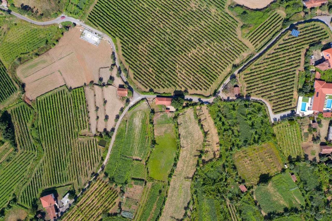 Casa Das Vinhas Camelias De Bastoturismo Rural เซลอริโก จิ บาสโต ภายนอก รูปภาพ