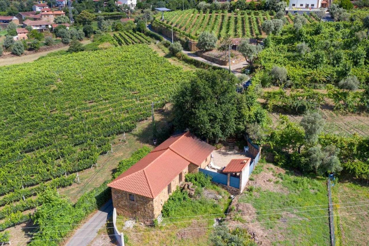 Casa Das Vinhas Camelias De Bastoturismo Rural เซลอริโก จิ บาสโต ภายนอก รูปภาพ