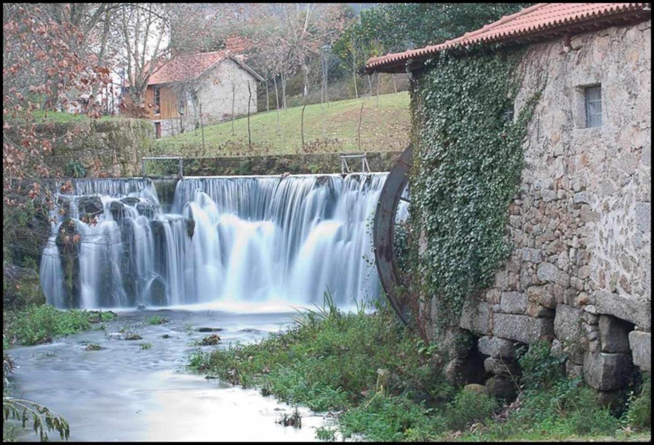 Casa Das Vinhas Camelias De Bastoturismo Rural เซลอริโก จิ บาสโต ภายนอก รูปภาพ