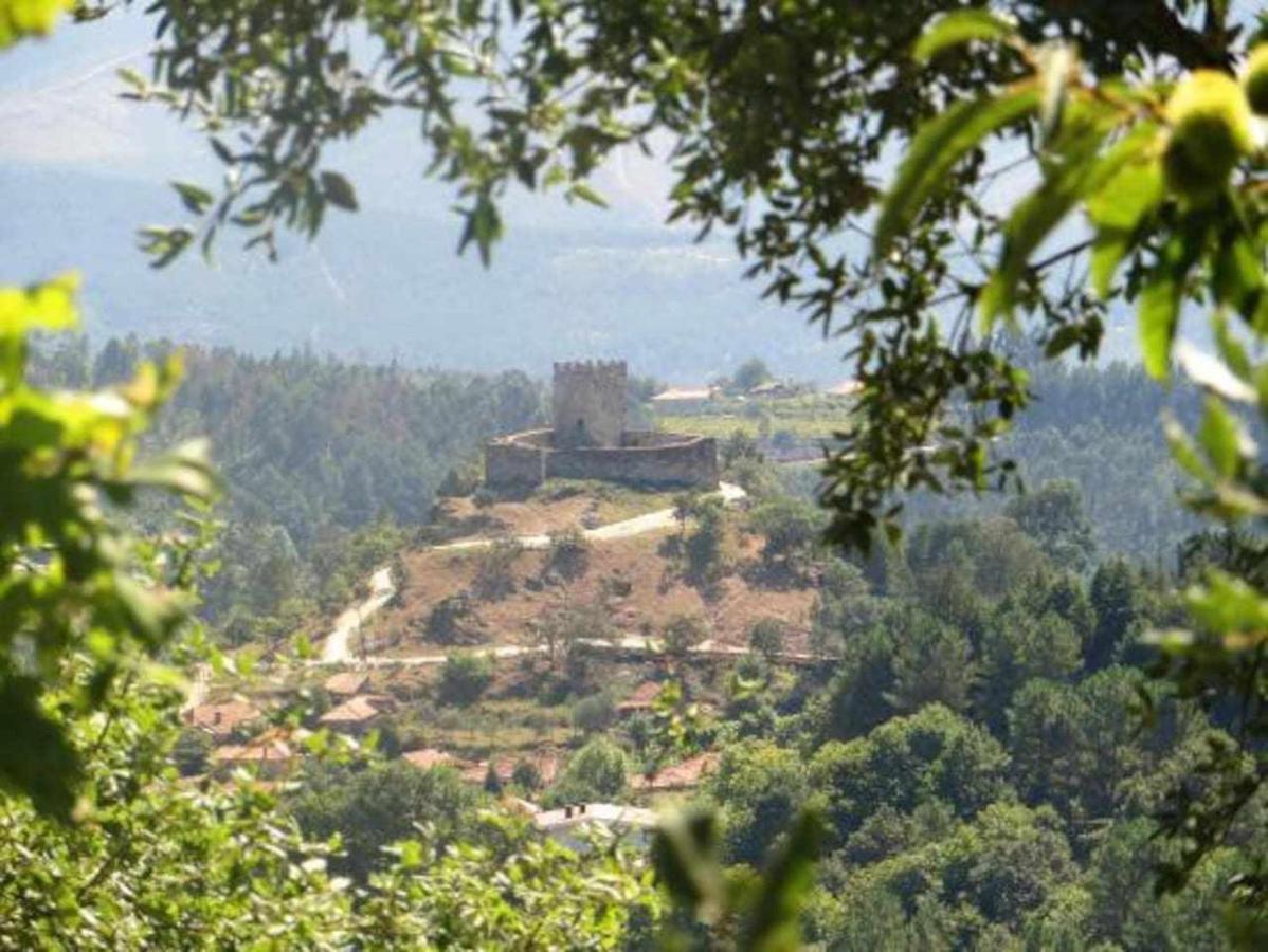 Casa Das Vinhas Camelias De Bastoturismo Rural เซลอริโก จิ บาสโต ภายนอก รูปภาพ