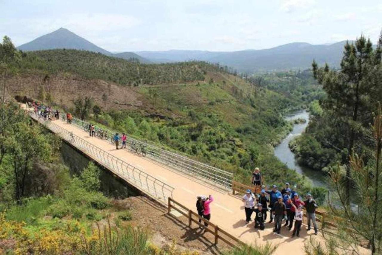 Casa Das Vinhas Camelias De Bastoturismo Rural เซลอริโก จิ บาสโต ภายนอก รูปภาพ