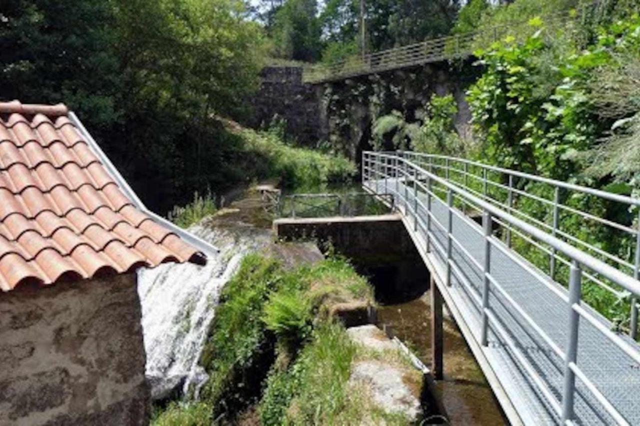 Casa Das Vinhas Camelias De Bastoturismo Rural เซลอริโก จิ บาสโต ภายนอก รูปภาพ